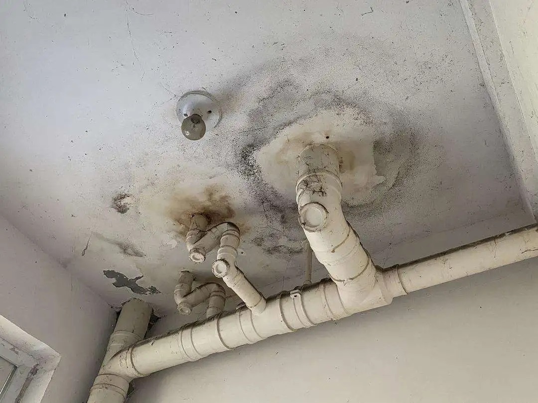 裝修后為何防水仍然滲水？原來問題出在這些地方