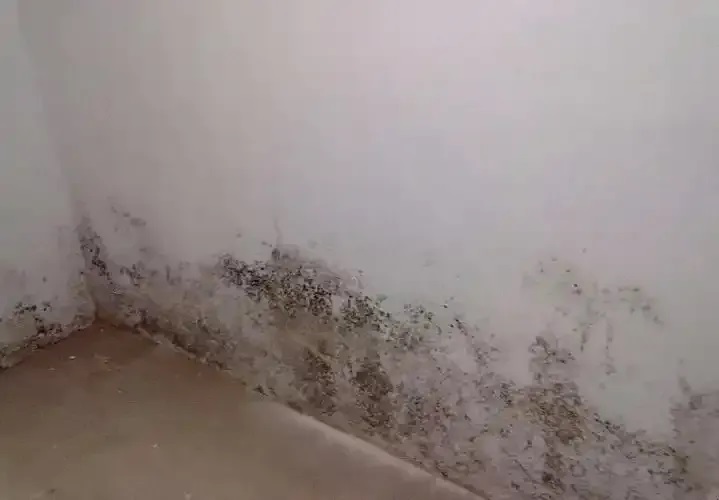 防水≠防滲！80%的人都弄錯了！